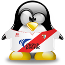 Penguin pingouin pinguino 104